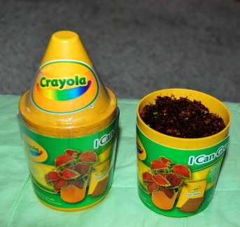 "Coleus Seed Kid" from Crayola